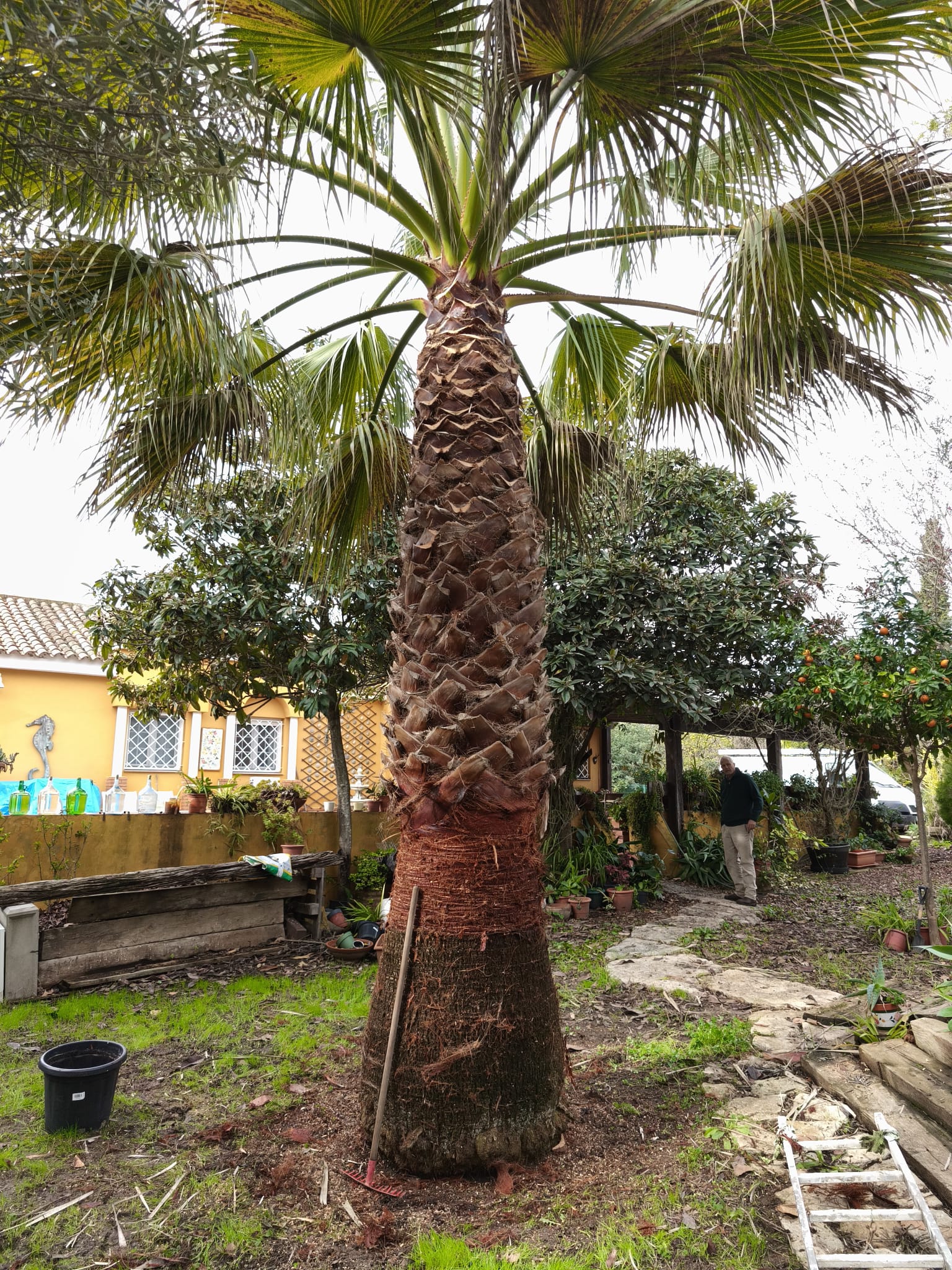 Trabajo de jardinería Clima Verde 1