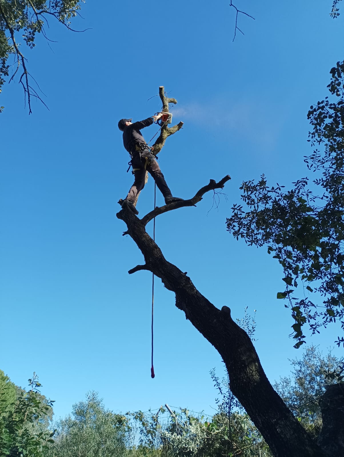 Trabajo de jardinería Clima Verde 2